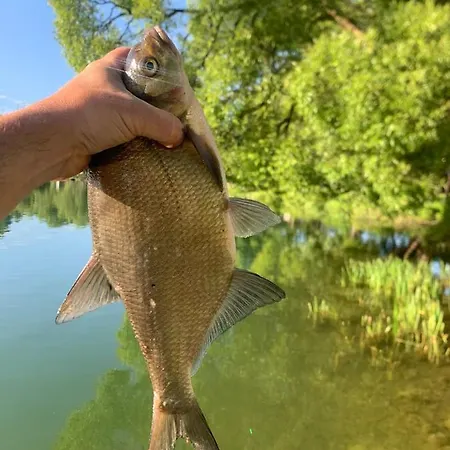 Apartamentowe Chmielowka *