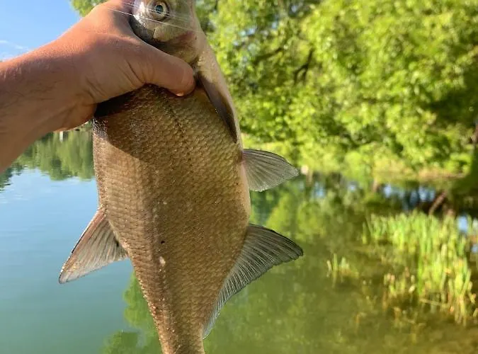 Apartamentowe Chmielowka *